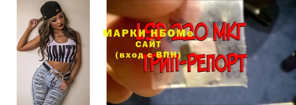 бошки Верея