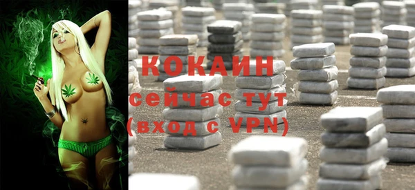 бошки Верея