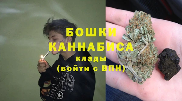 ECSTASY Вяземский
