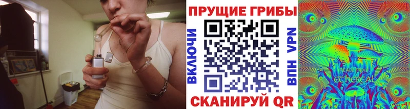 Галлюциногенные грибы Cubensis  Инза 
